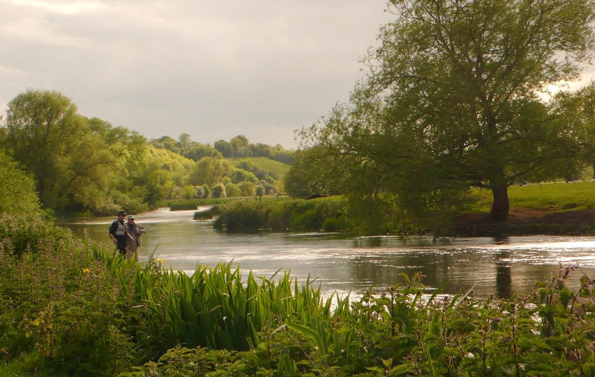 Salmon and sea trout angling regulations for 2018 Salmon Licenses Ireland