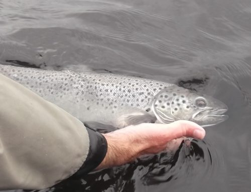 2026 salmon regulations published