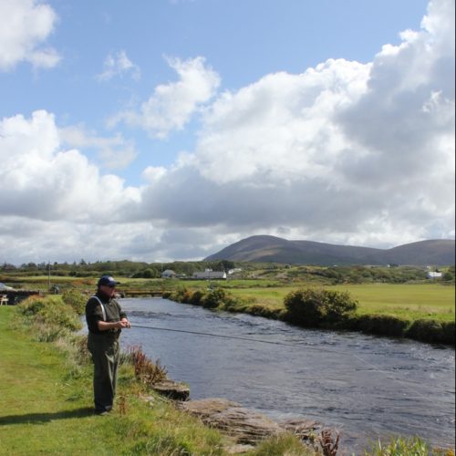 Salmon Rod Licence Sales Inland Fisheries Ireland