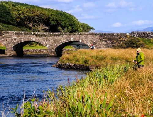 ‘Brown Tags’ conservation regulations to come into force for Salmon Anglers in Kerry