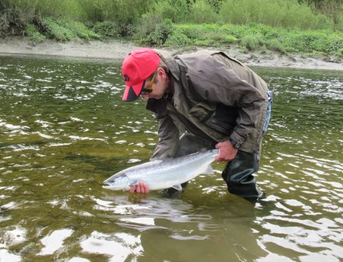 81 Rivers open for Salmon Angling in 2023